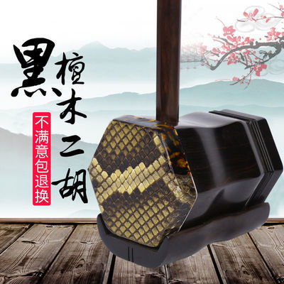 念音精品樂器店 尋覓心靈共鳴的藝術殿堂